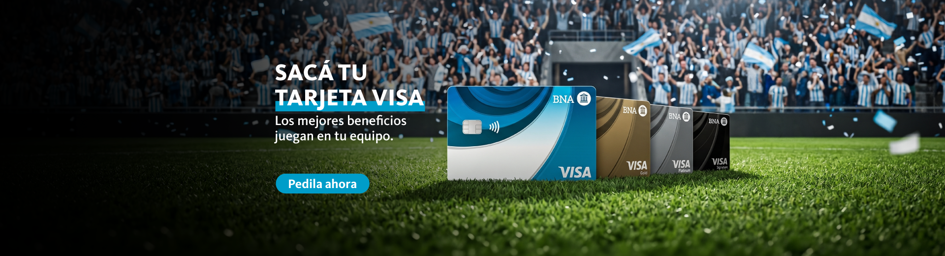 Promo Visa